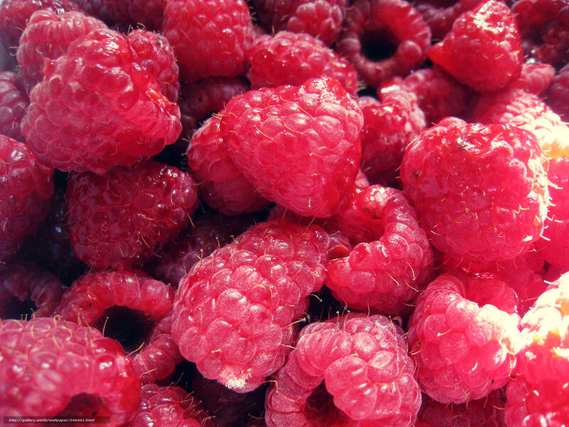 Close-up of fresh raspberries