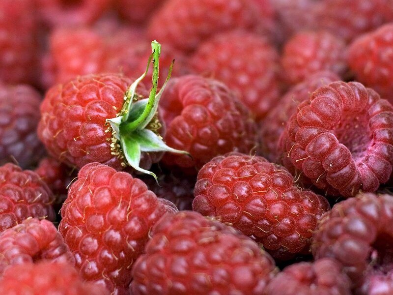 Close-up of fresh raspberries