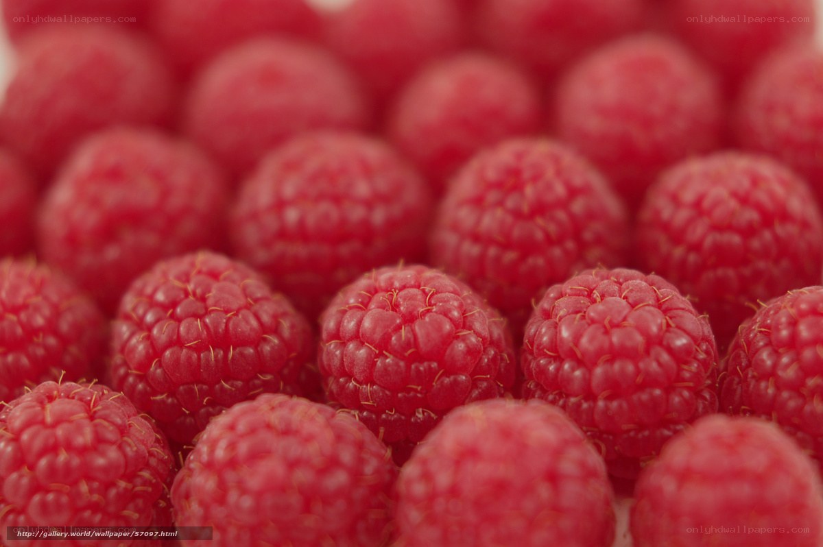 Close-up of fresh raspberries