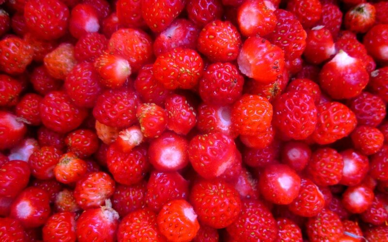 close-up of fresh strawberries