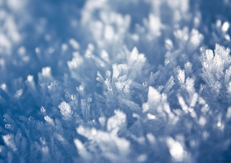 Close-up of frost crystals