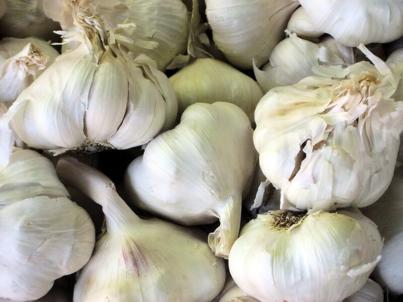 Close-up of Garlic Bulbs