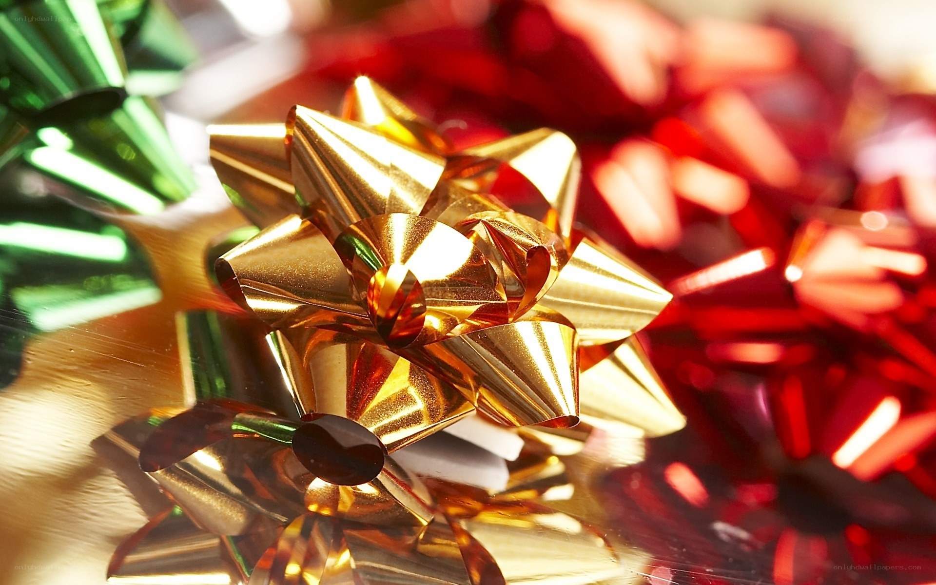 Close-up of gift bows