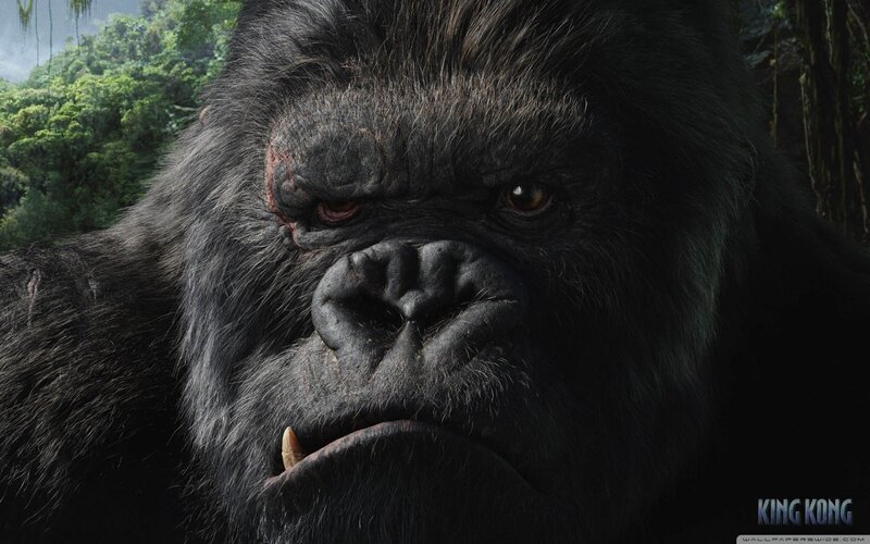 Close-up of Gorilla Face — Black, Intense, 3d Render, Forest