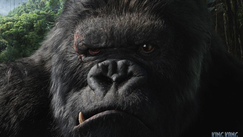 Close-up of Gorilla Face — Black, Intense, 3d Render