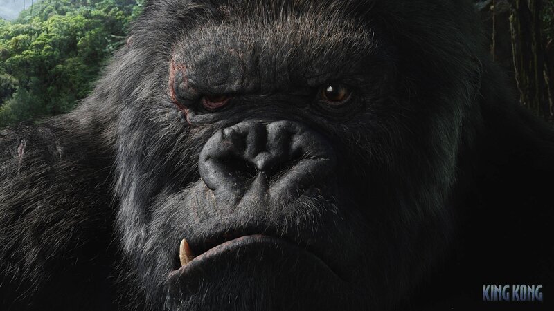 Close-up of Gorilla Face — Black, Intense