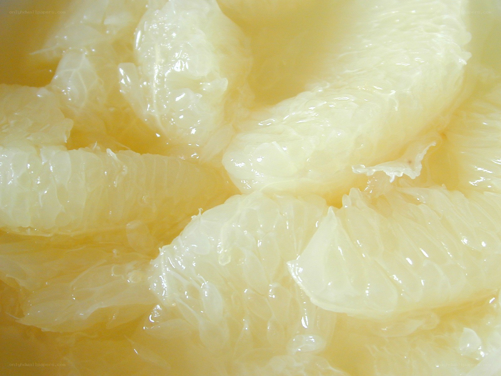 close-up of grapefruit segments