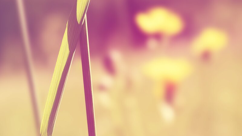 Close-up of grass blades