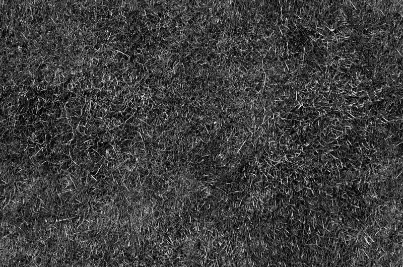 close-up of grass texture