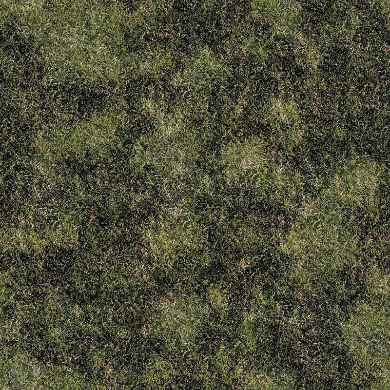 close-up of grass texture