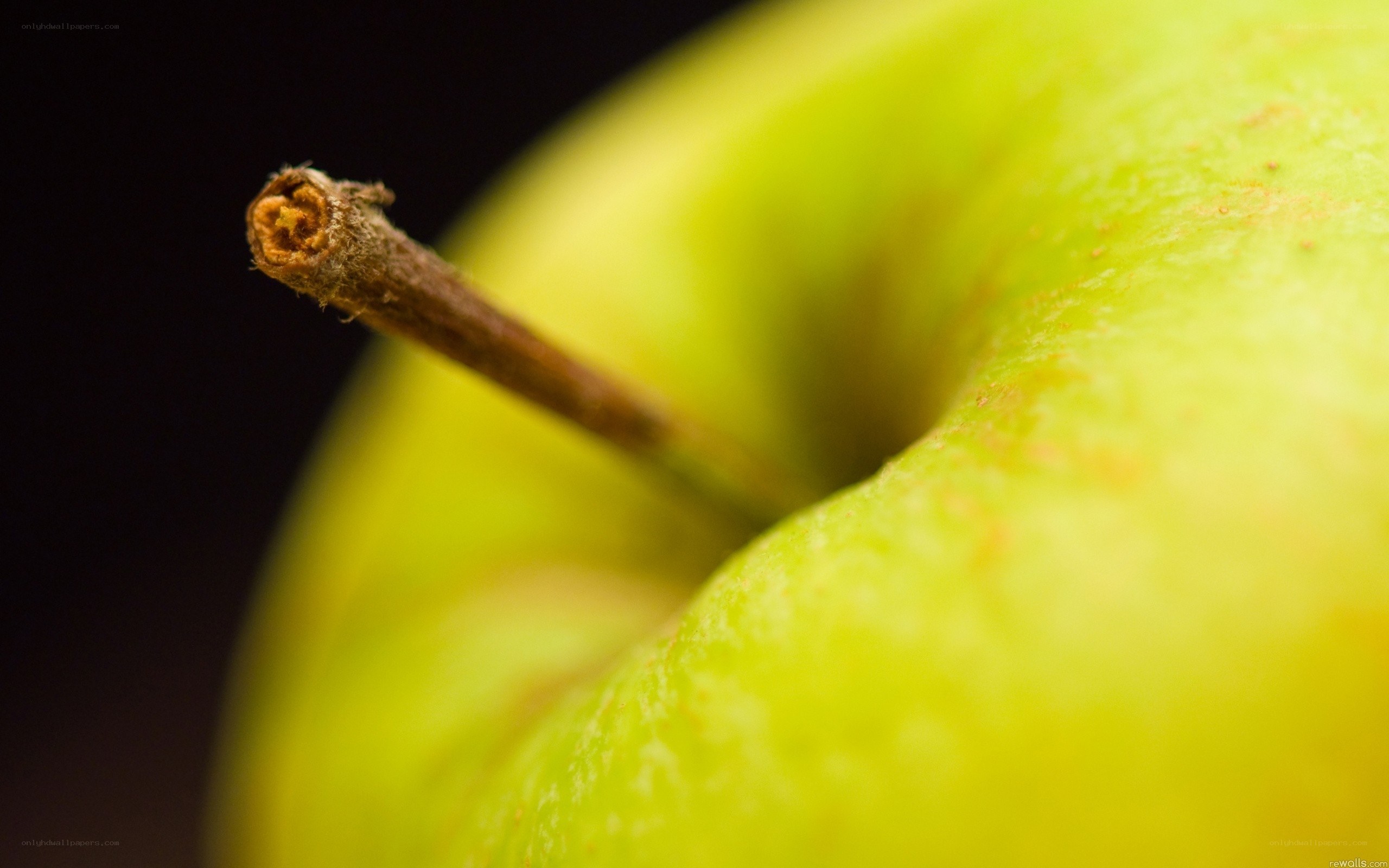close-up of green apple
