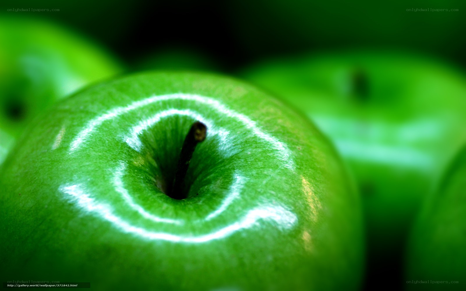 Close-up of green apples