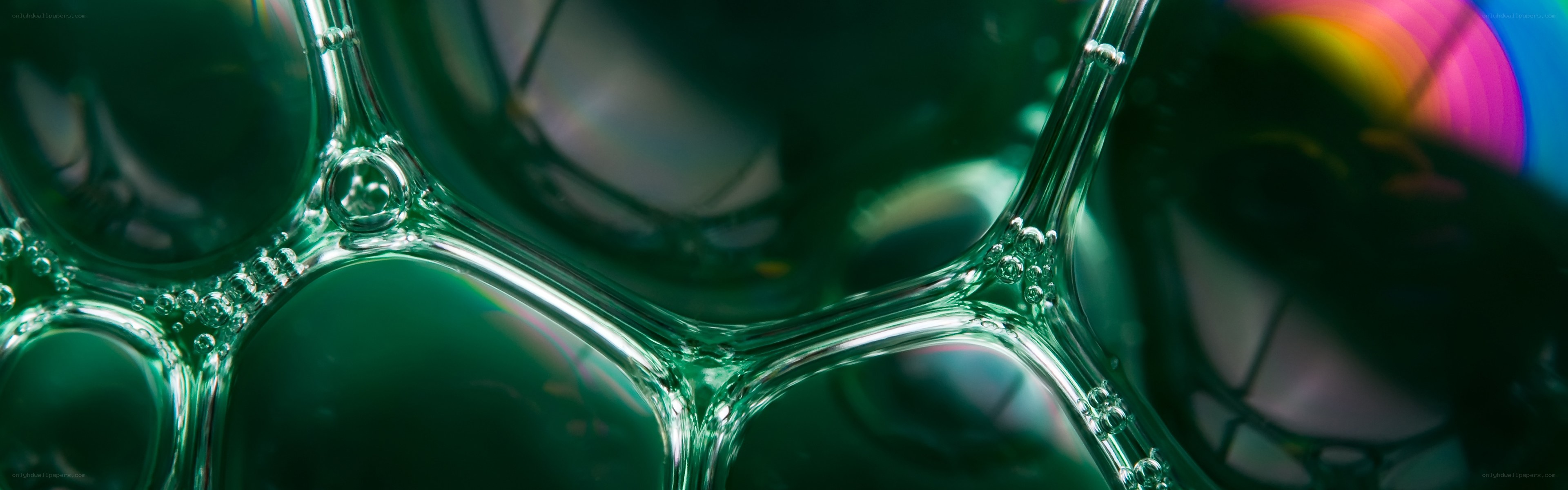 Close-up of green bubbles