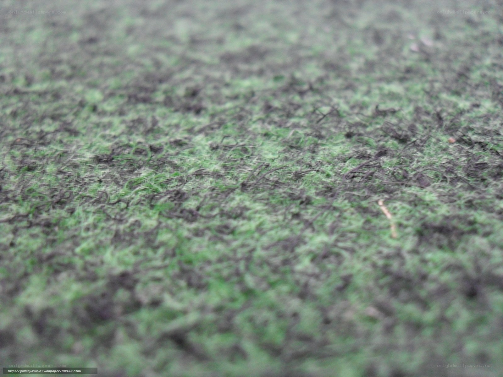 close-up of green fabric texture