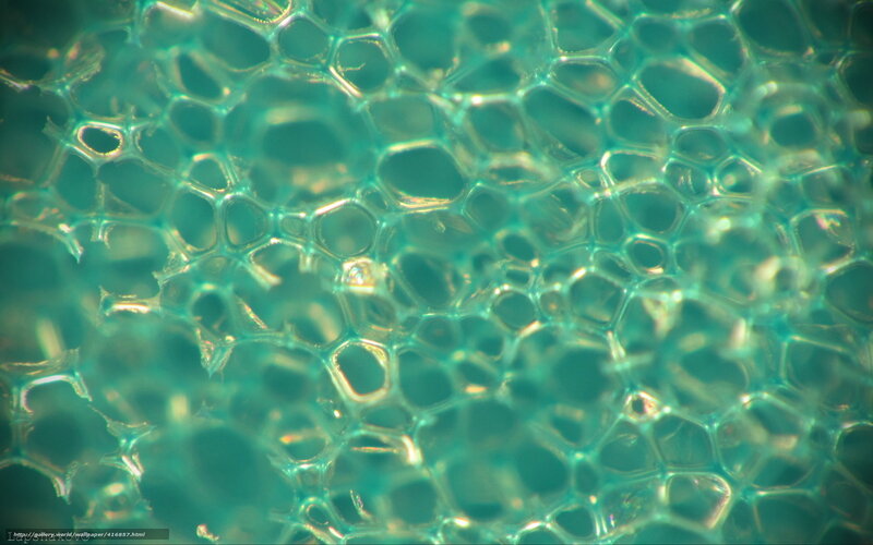 Close-up of green foam texture