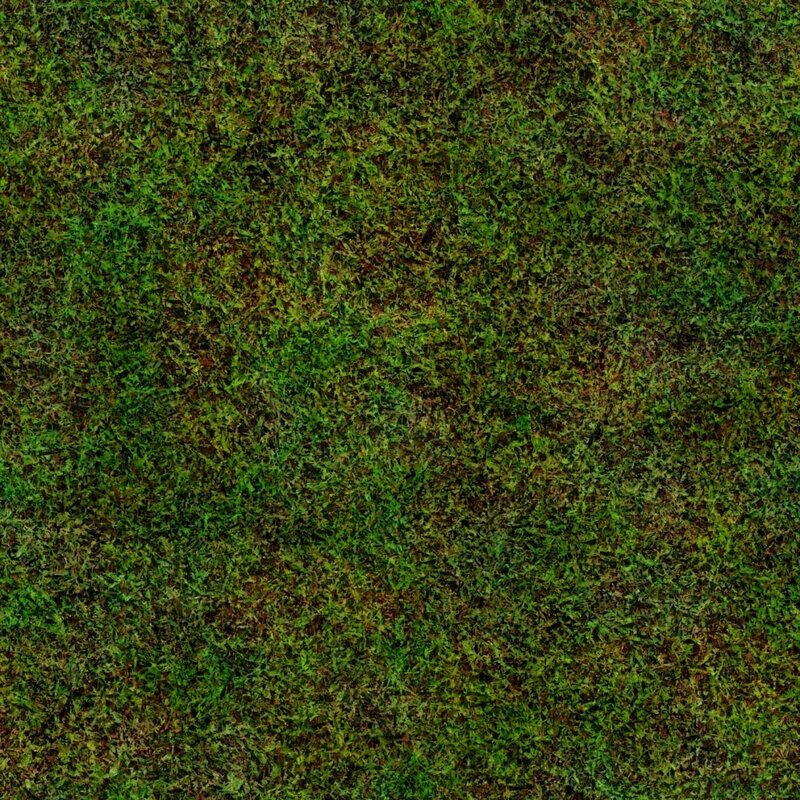 Close-up of Green Moss — Natural, Photograph, Brown