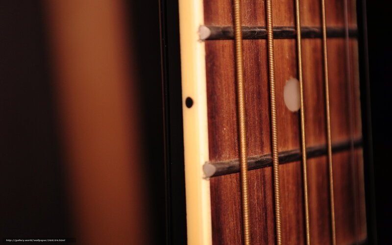 Close-up of Guitar Fretboard — Brown, Dramatic