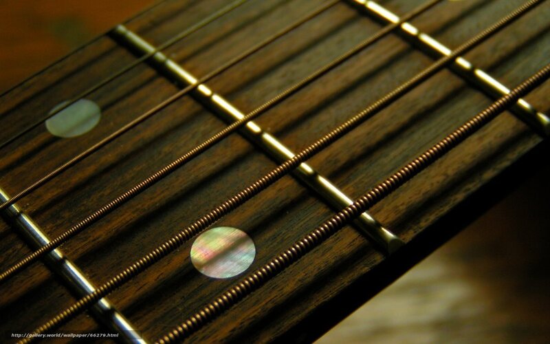 close-up of guitar fretboard