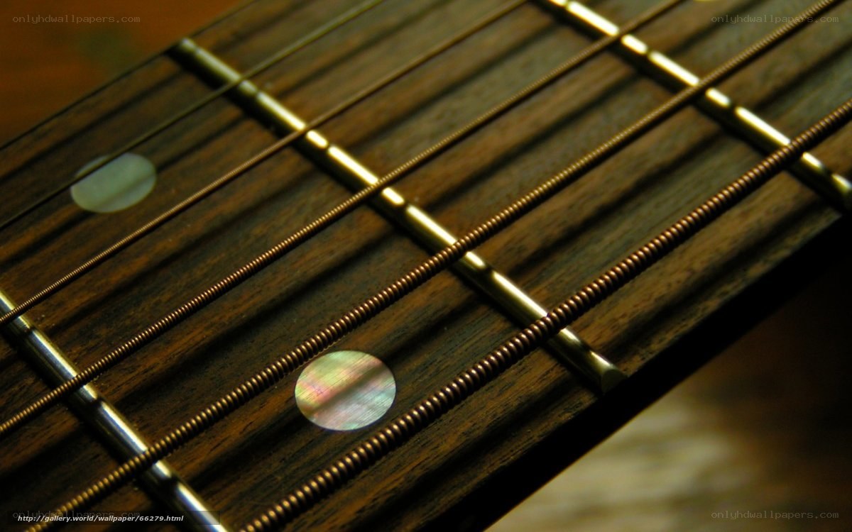 close-up of guitar fretboard