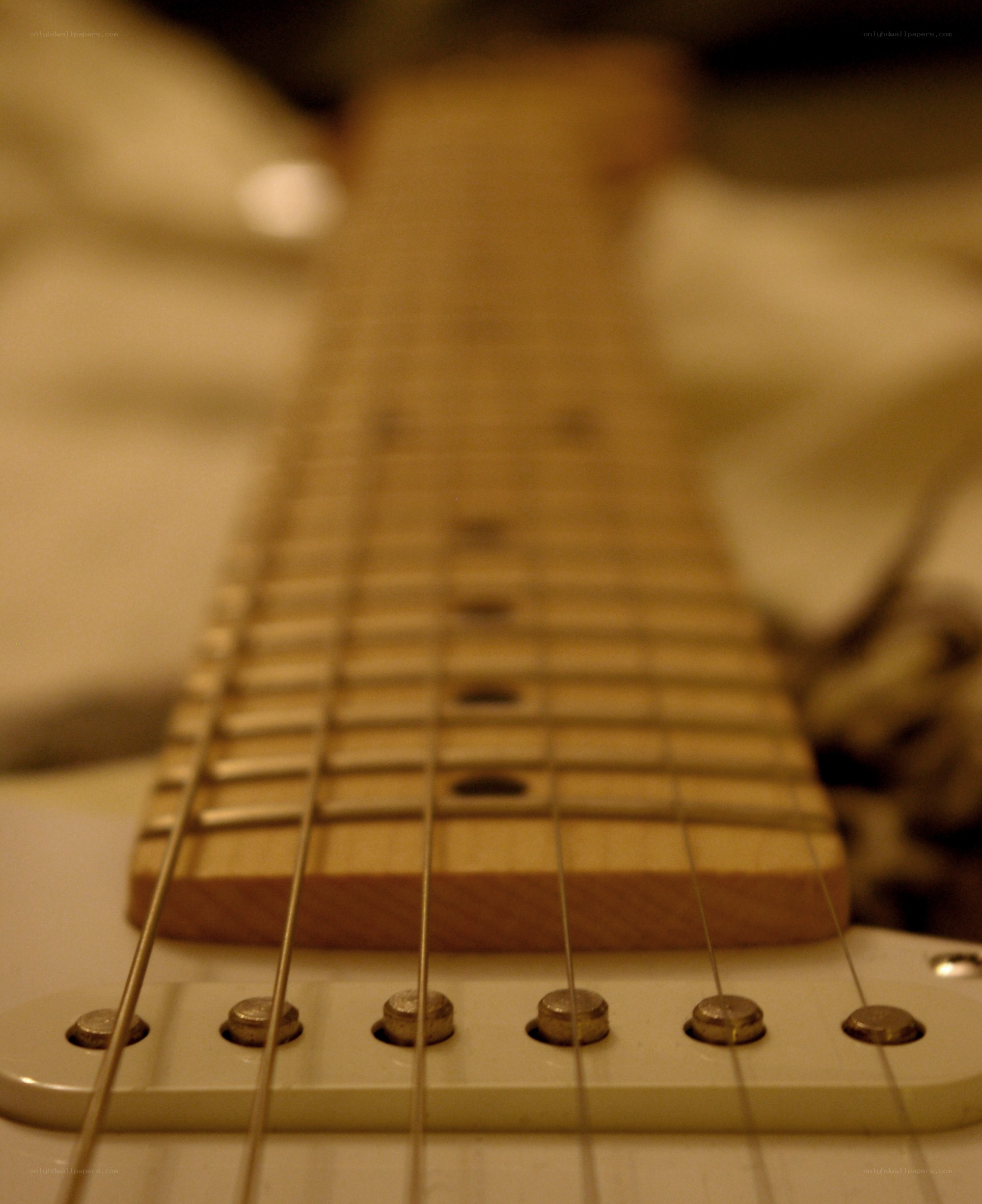 close-up of guitar neck