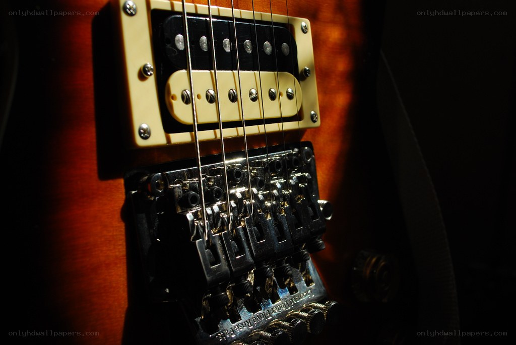 close-up of guitar pickups