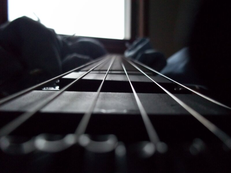 close-up of guitar strings