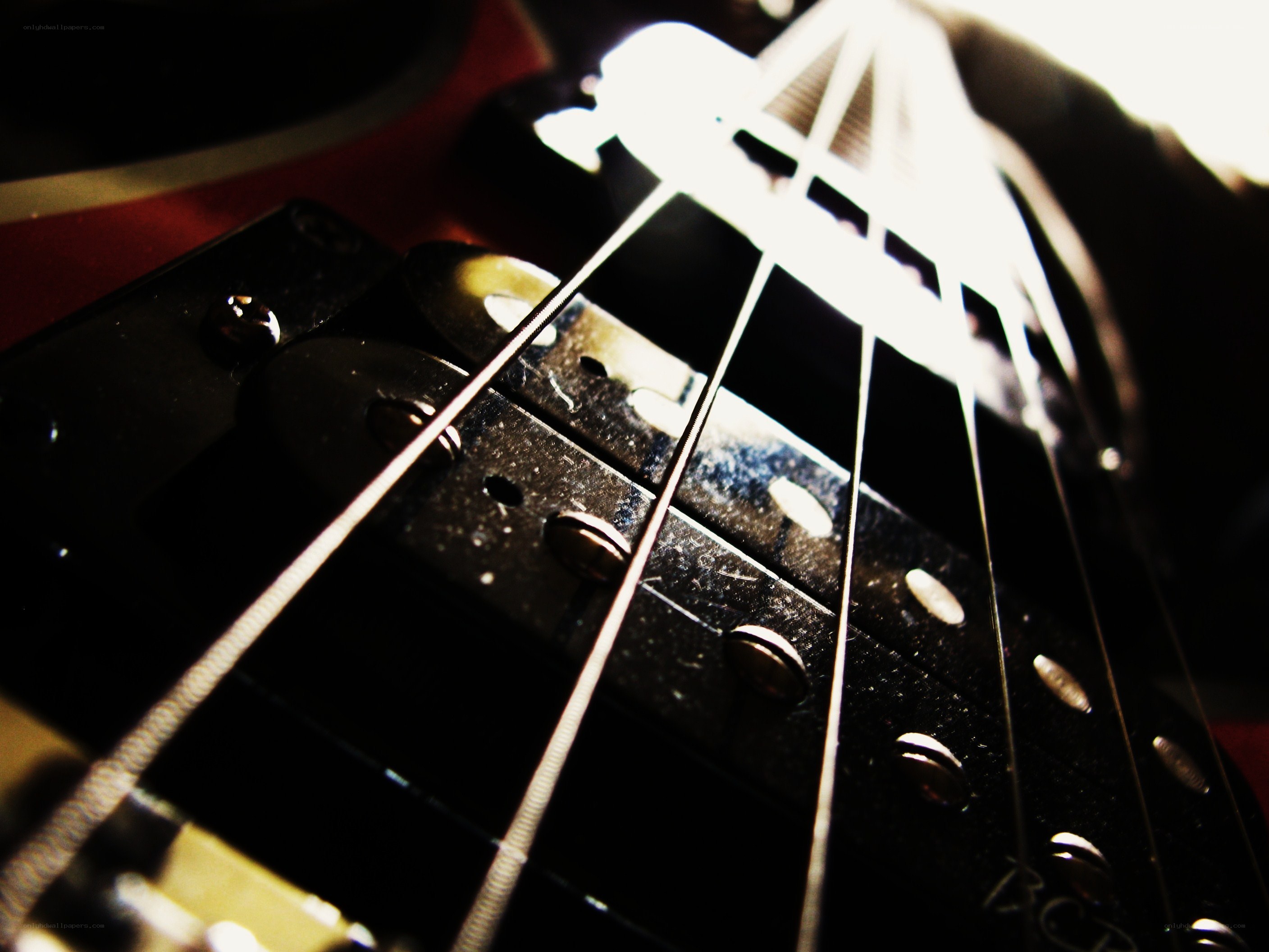 close-up of guitar strings