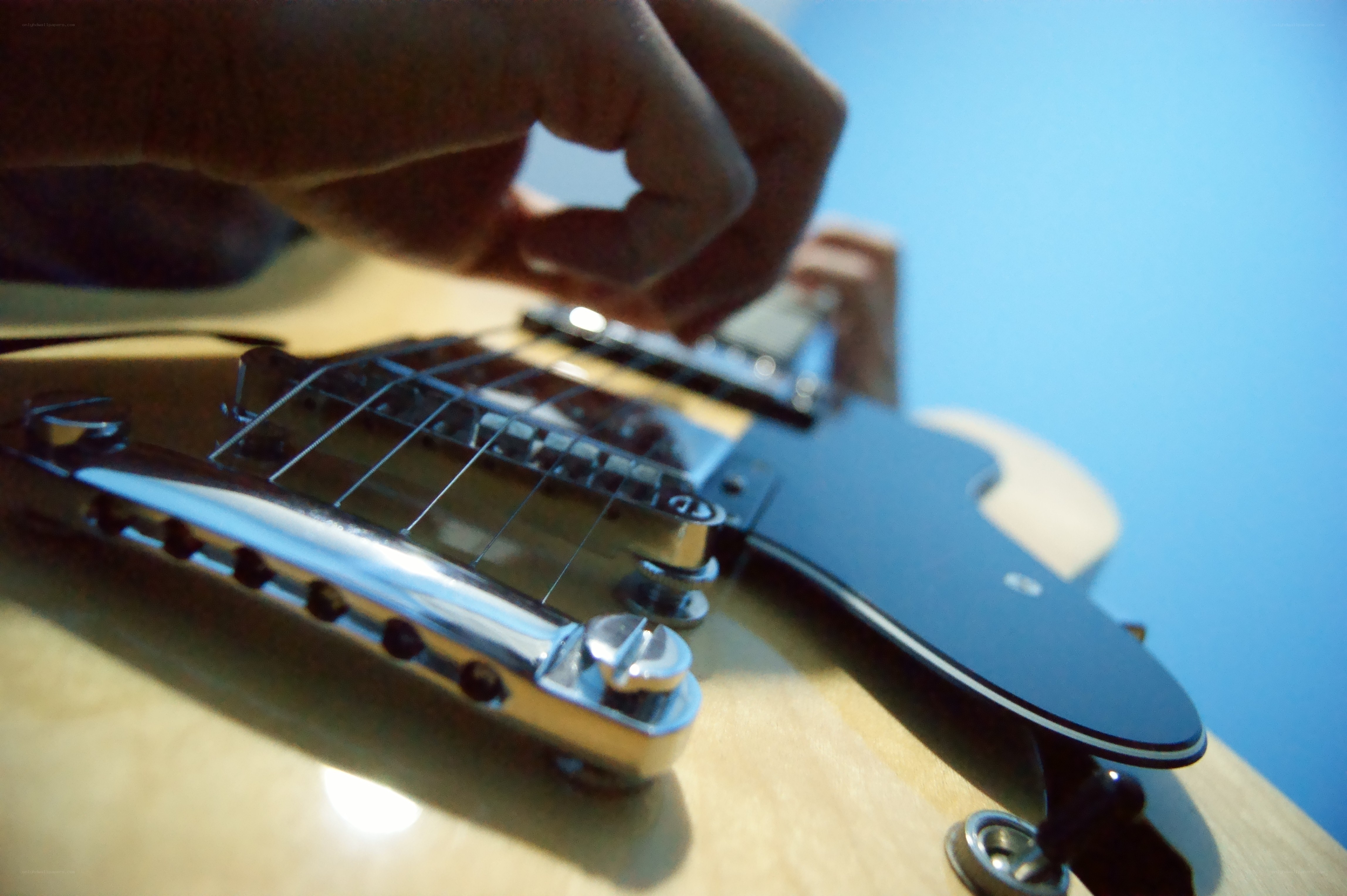 close-up of guitar strings