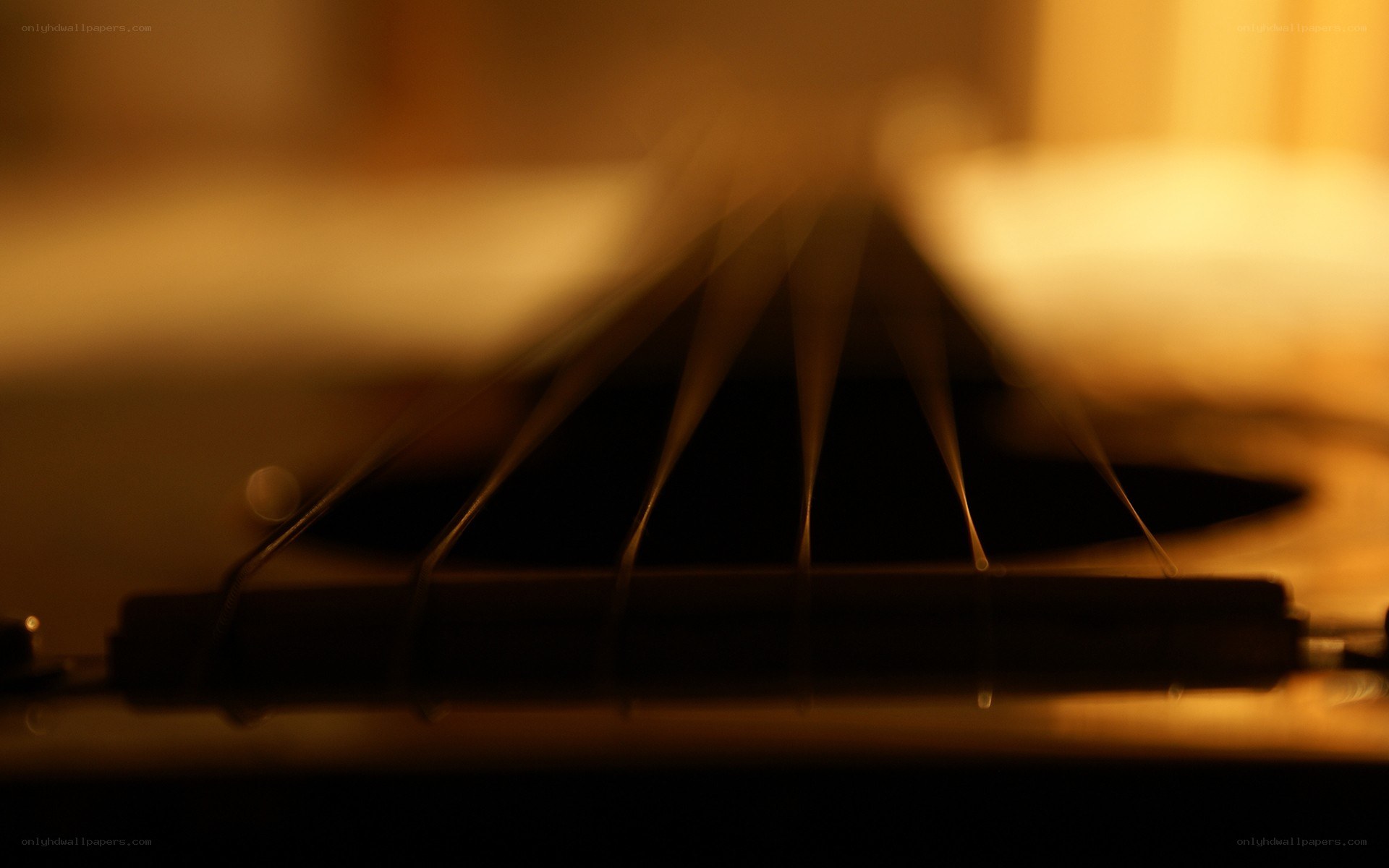 Close-up of guitar strings