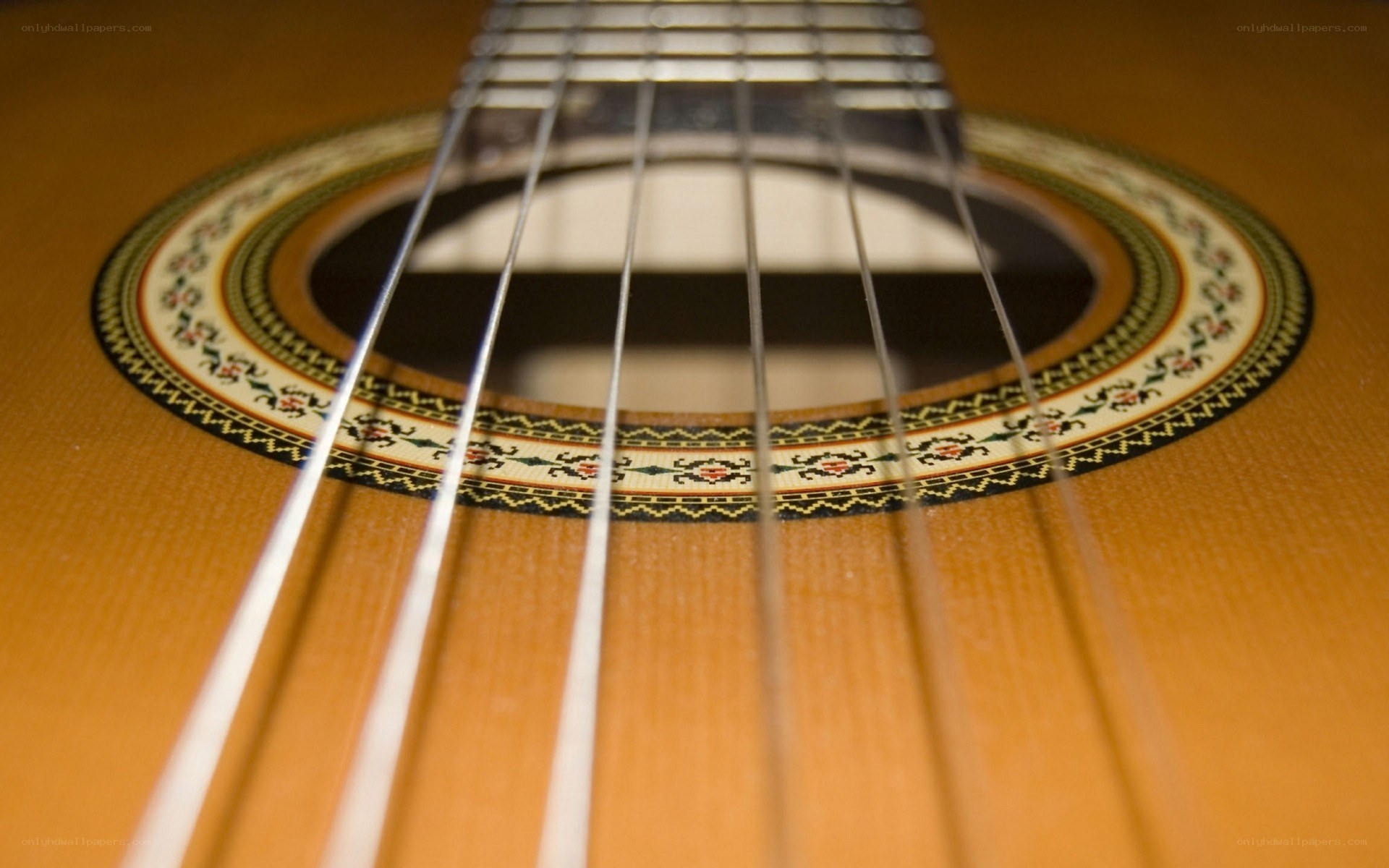 Close-up of guitar strings