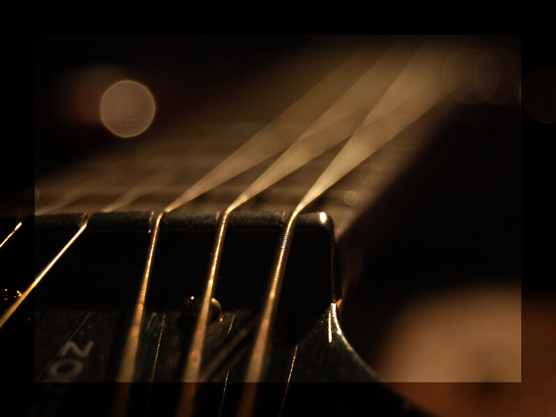 Close-up of guitar strings