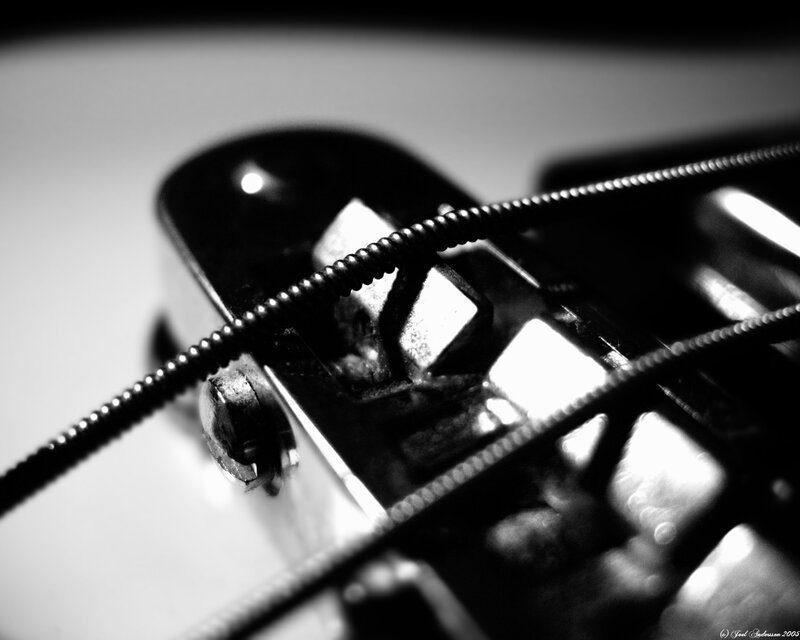 close-up of guitar strings