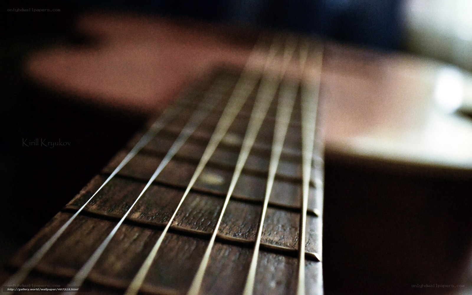 Close-up of guitar strings