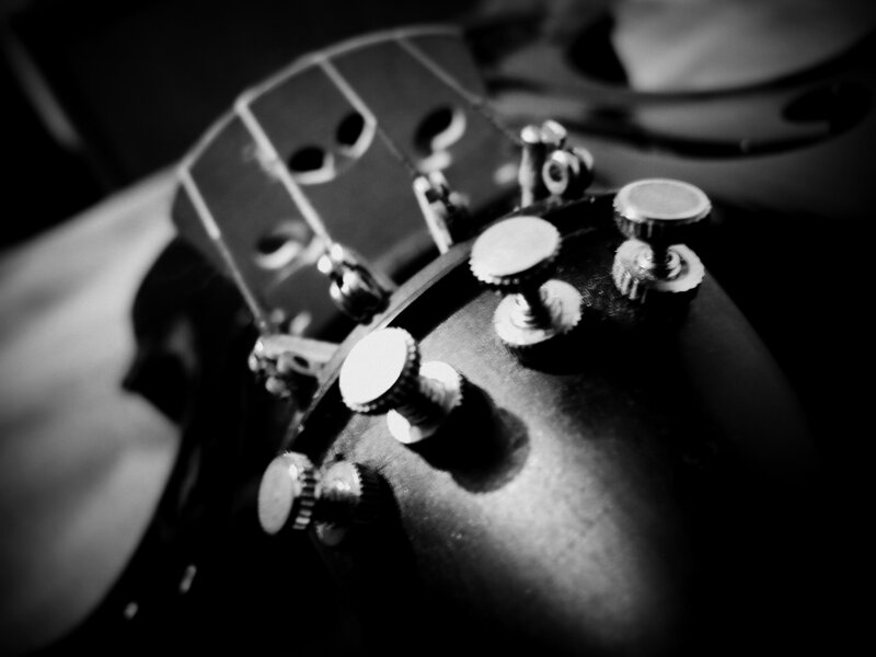 Close-up of guitar tuning pegs