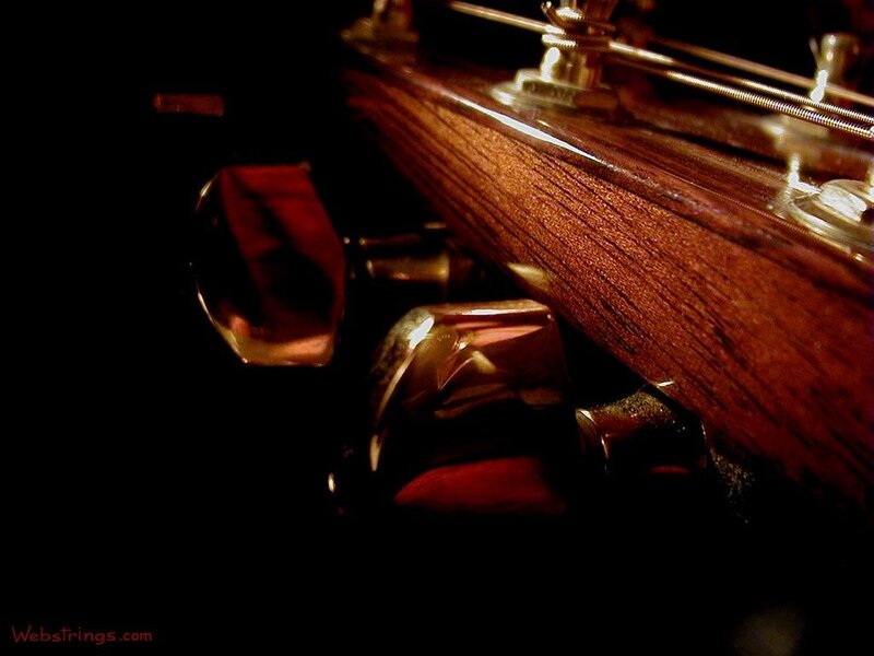 Close-up of guitar tuning pegs