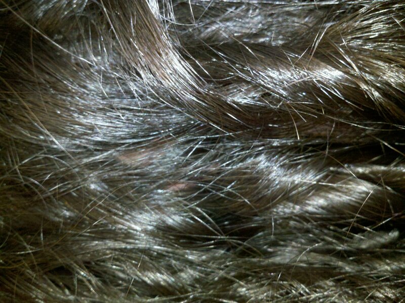 close-up of hair strands