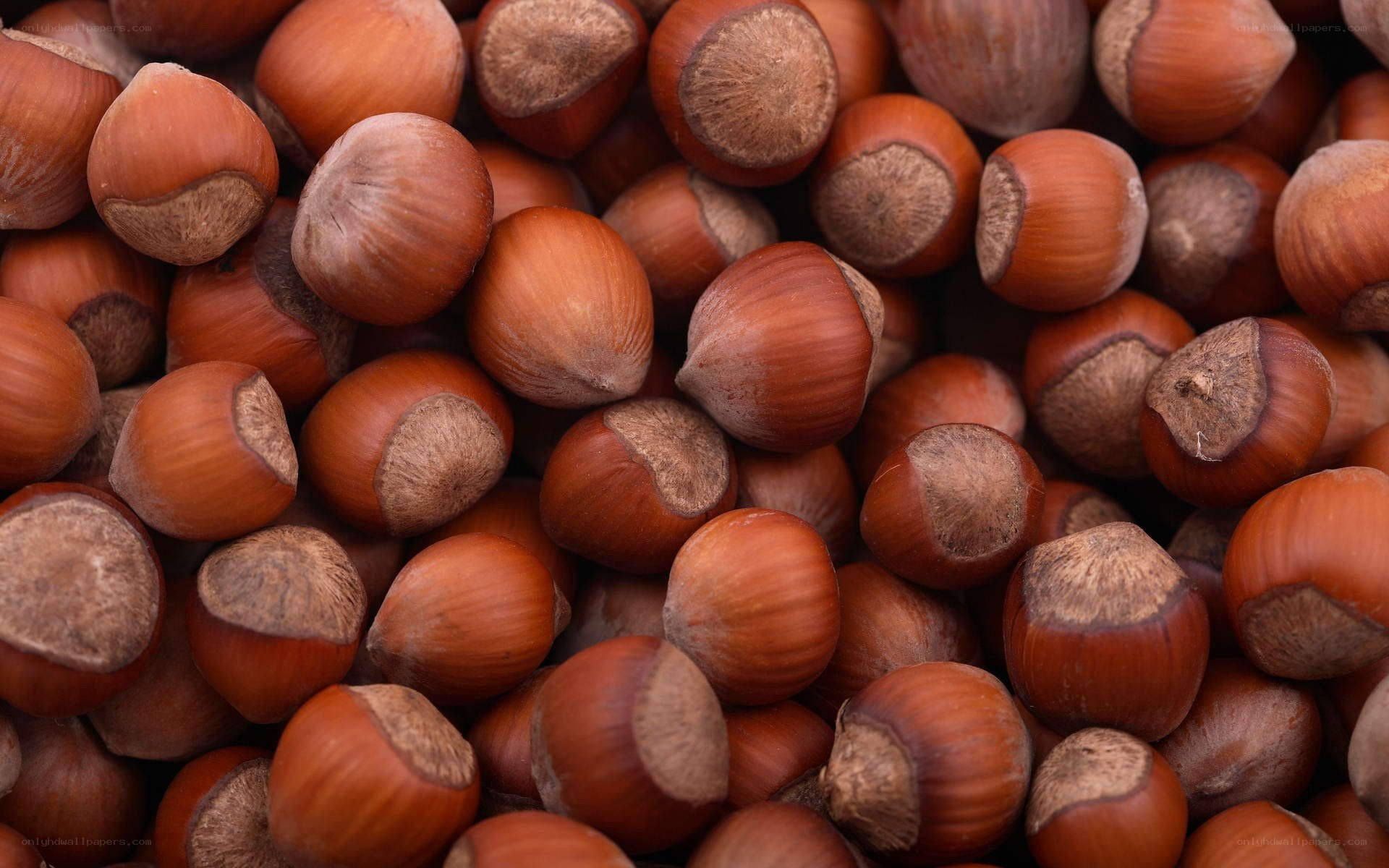 close-up of hazelnuts