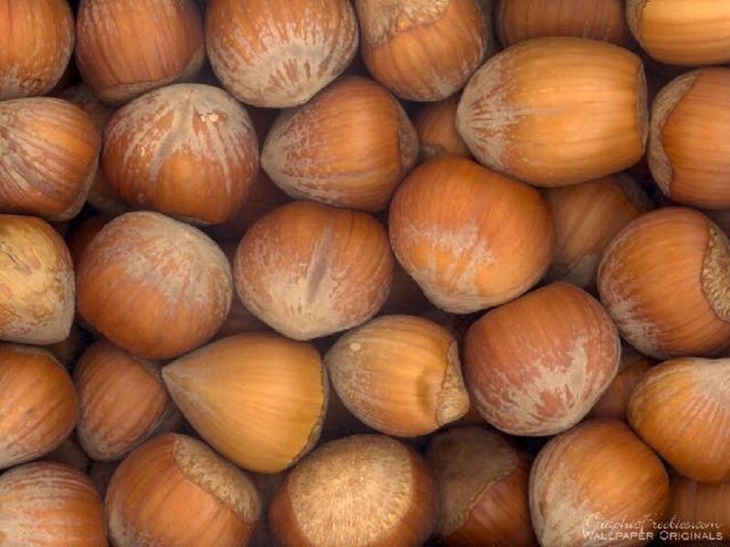 close-up of hazelnuts