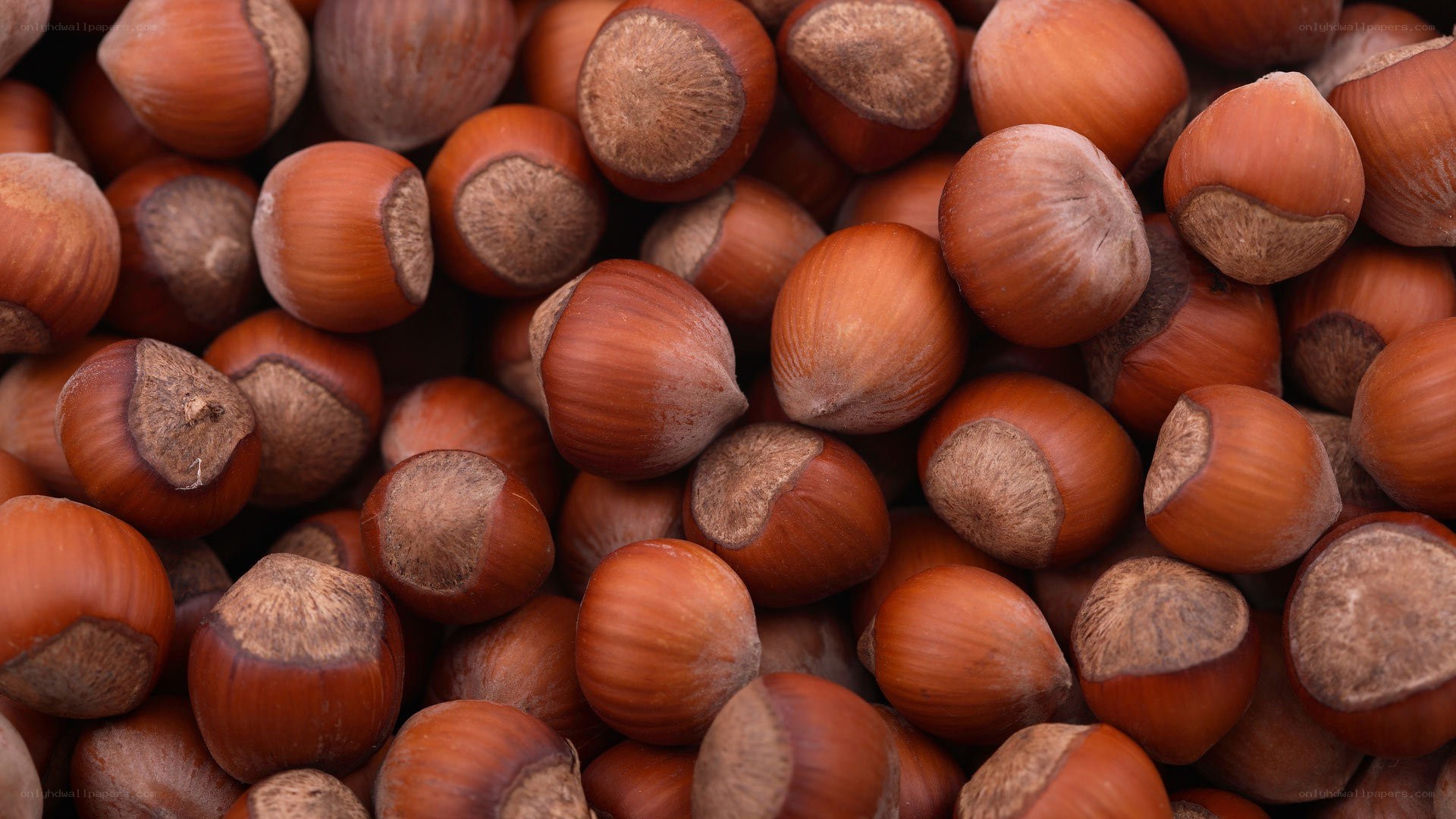 close-up of hazelnuts