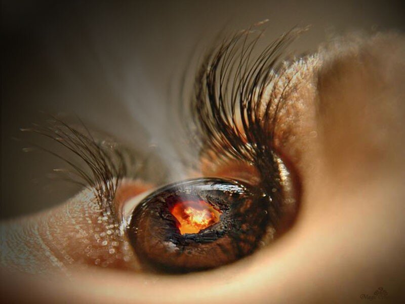 Close-up of Human Eye