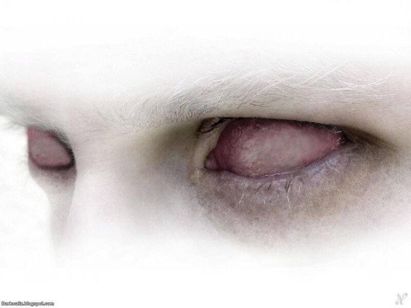 Close-up of Human Eyes — White