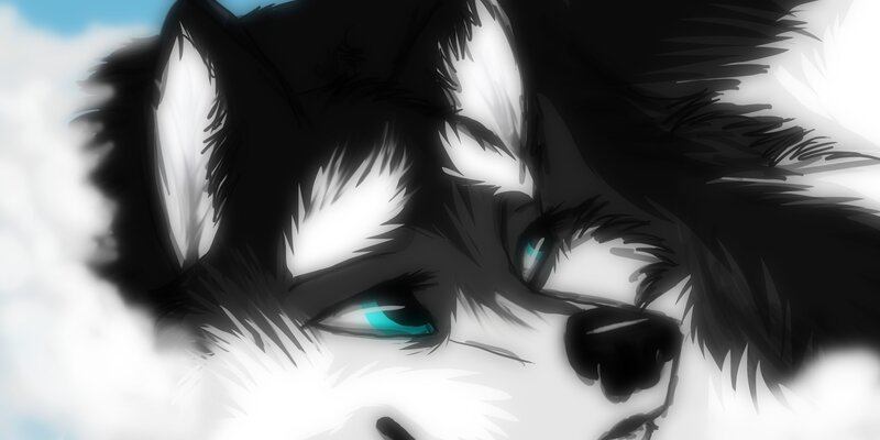 Close-up of Husky Face — Black, Dramatic