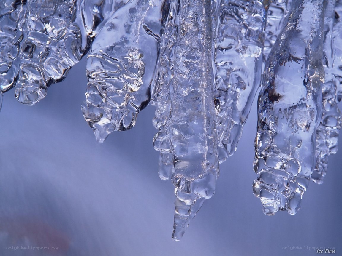 Close-up of icicles