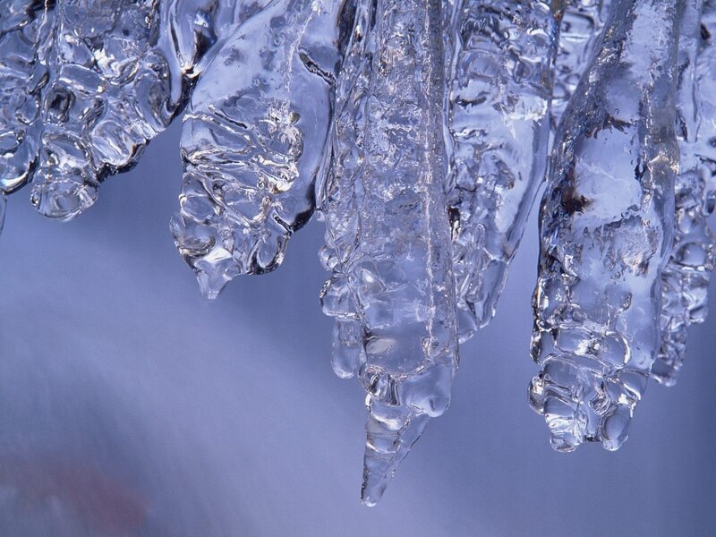 Close-up of icicles hanging