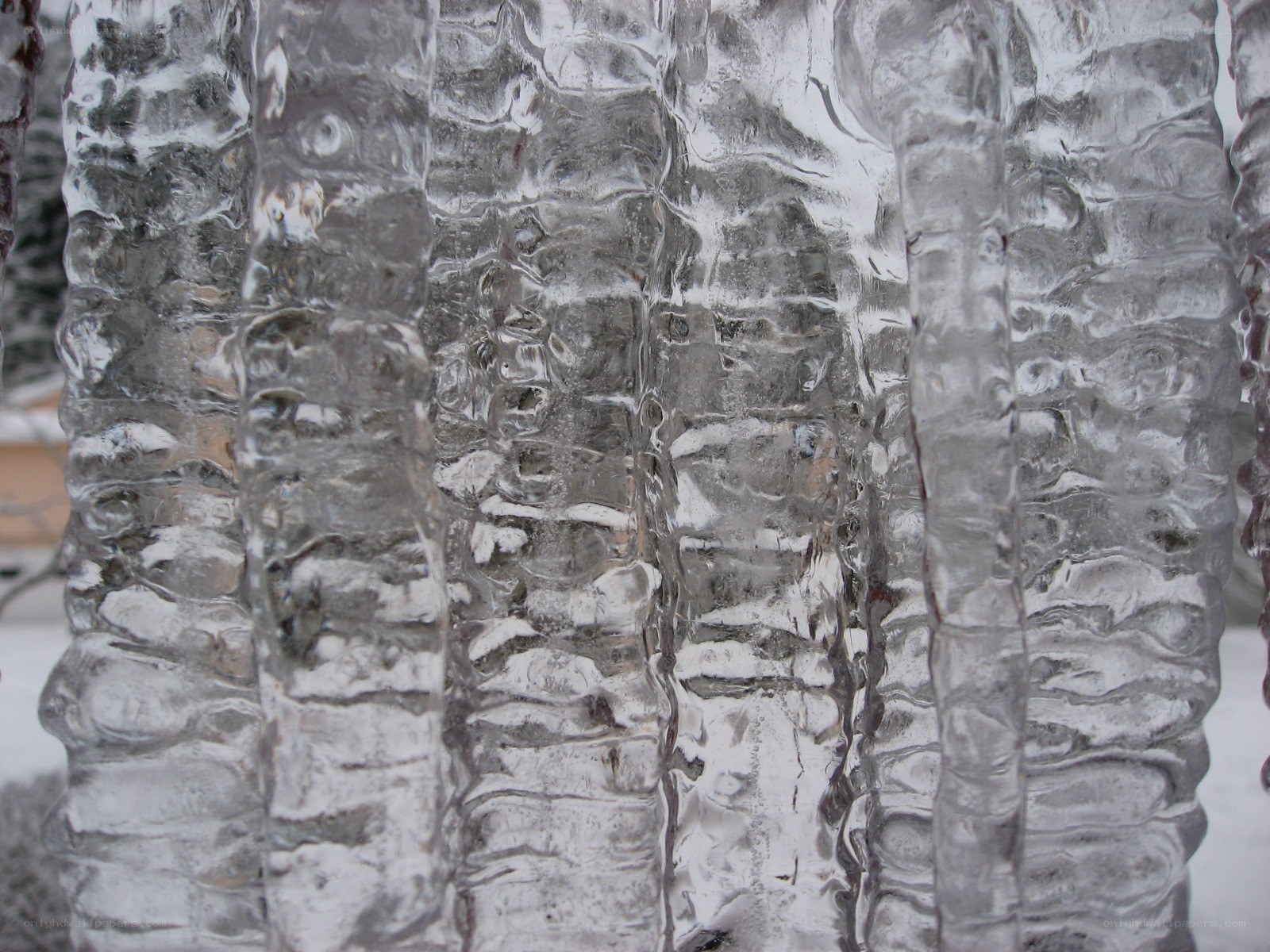 Close-up of icicles