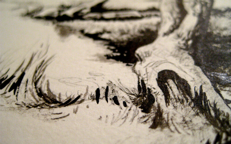 close-up of ink drawing