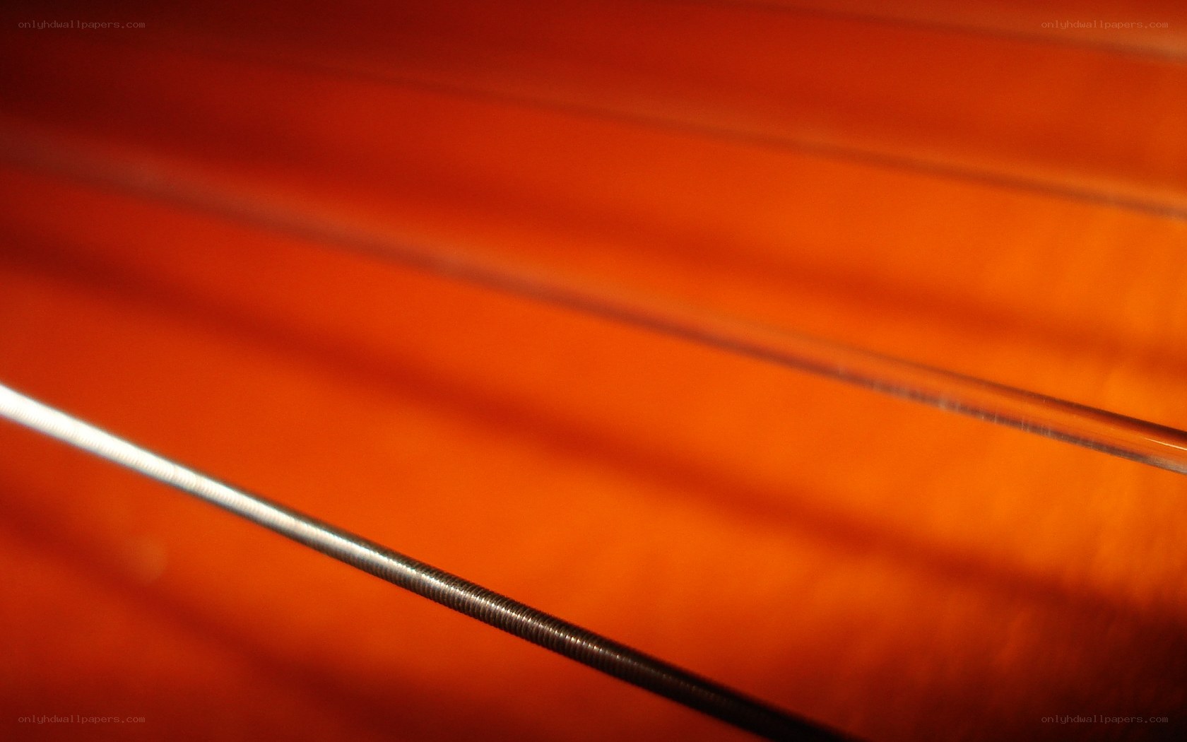 Close-up of instrument strings