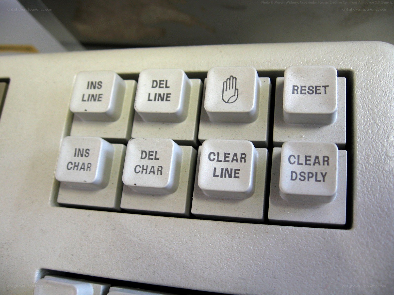 close-up of keyboard function keys