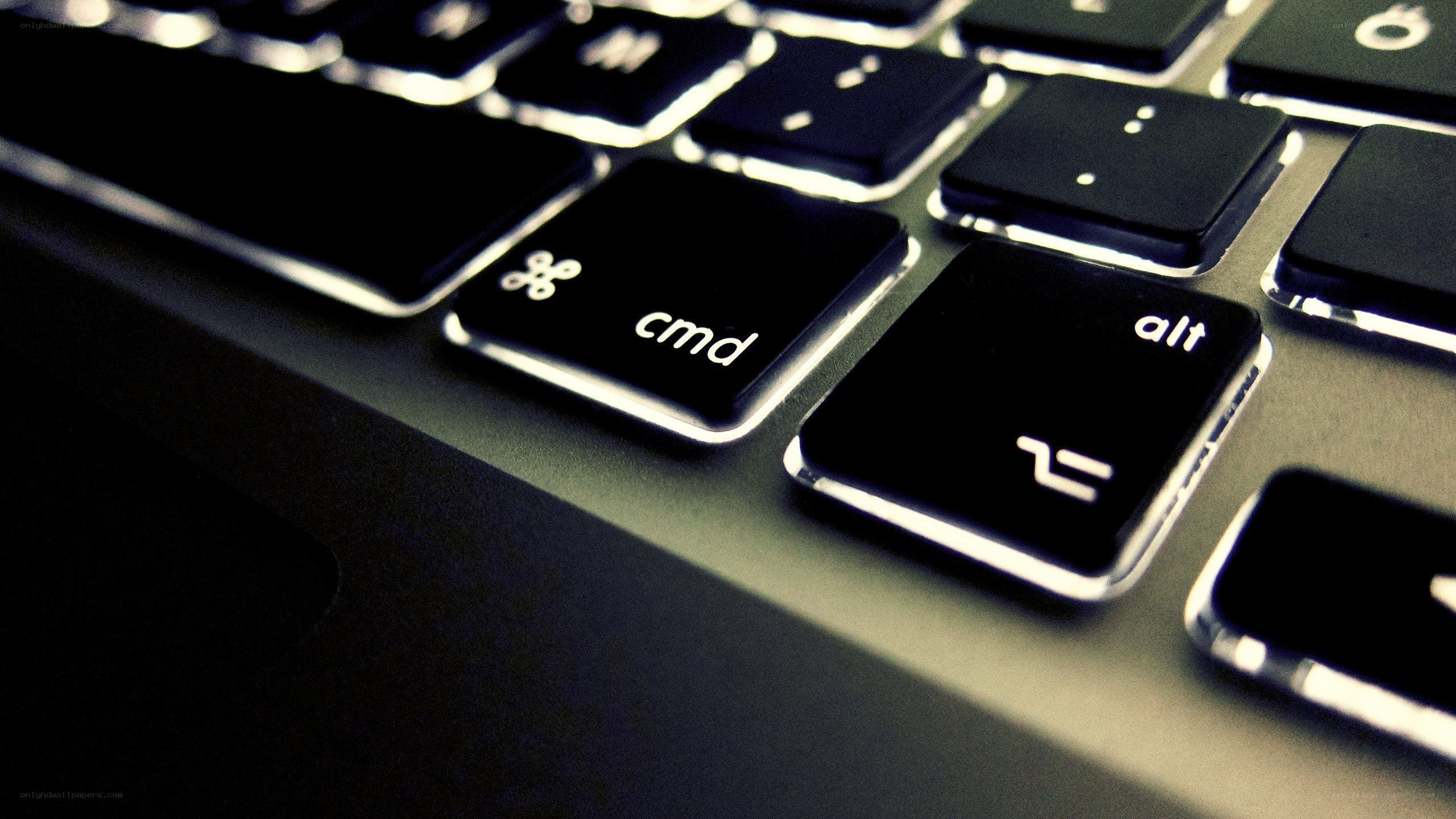 close-up of keyboard keys