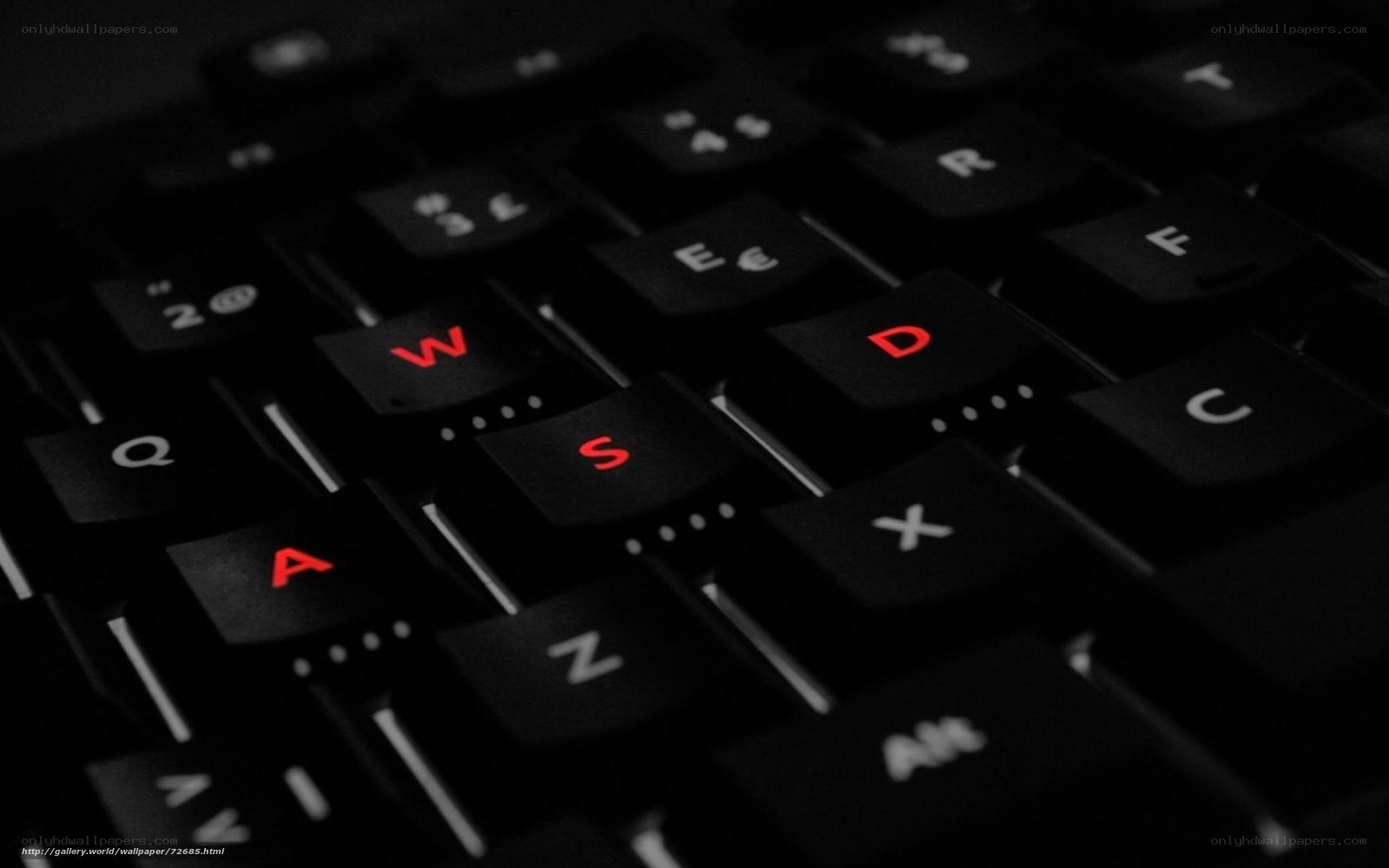 close-up of keyboard keys